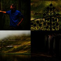 Weingut Studert-Prüm Impressionen