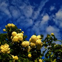 Garten im Feriendomizil Roussel