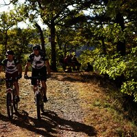 Tour über den Moselberg