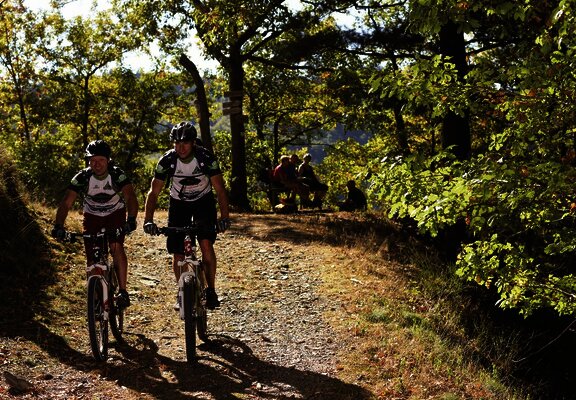 Tour über den Moselberg