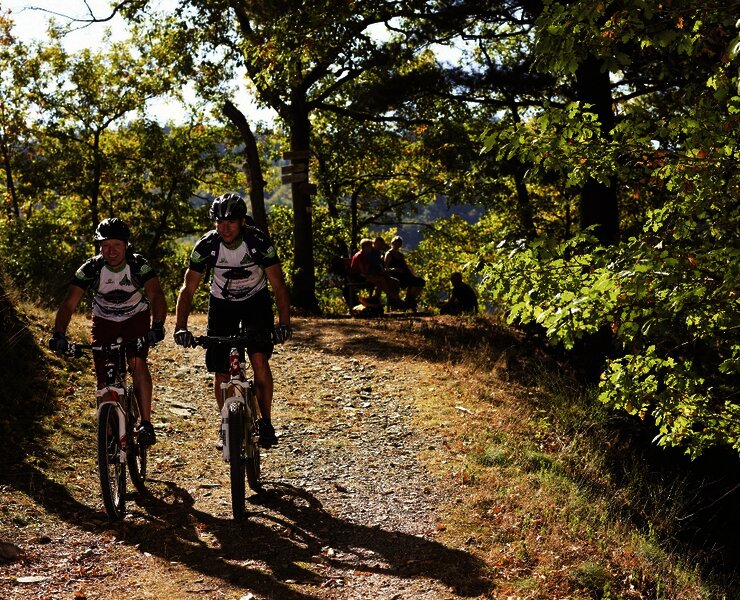 Tour über den Moselberg
