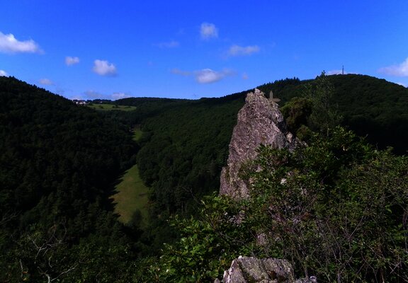 "Goldenes Kreuz" im Wald von Bernkastel-Kues
