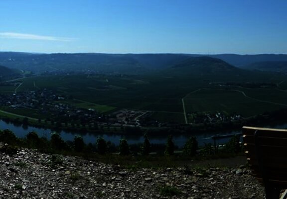 Panorama über die Mosellandschaft bei Klüsserath