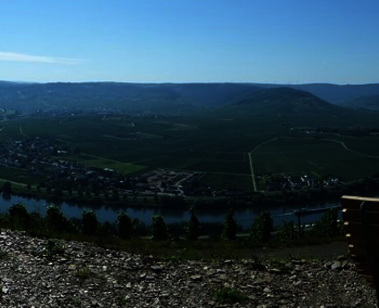 Panorama über die Mosellandschaft bei Klüsserath