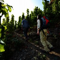Weinbergswege im Klettersteig