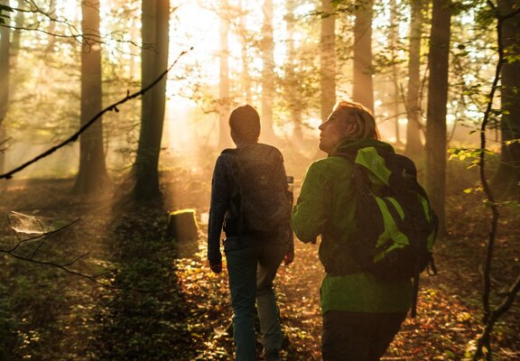 Waldpassage bei Beilstein