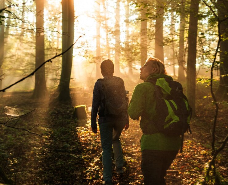 Waldpassage bei Beilstein
