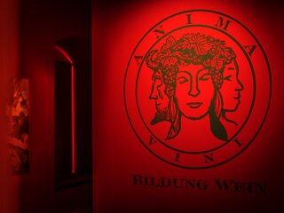 Gesichter/Logo