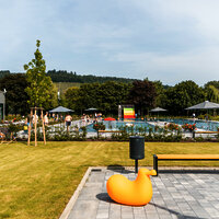 Das Bild zeigt eine Liegewiese und das Freibad des Vitelliusbads Wittlich