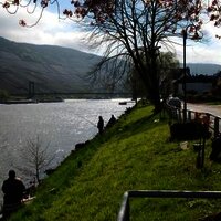 Moselufer in Wehlen im Radurlaub