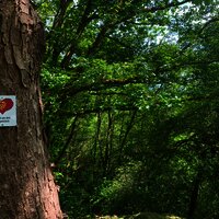 Wegbeschilderung entlang des Weges