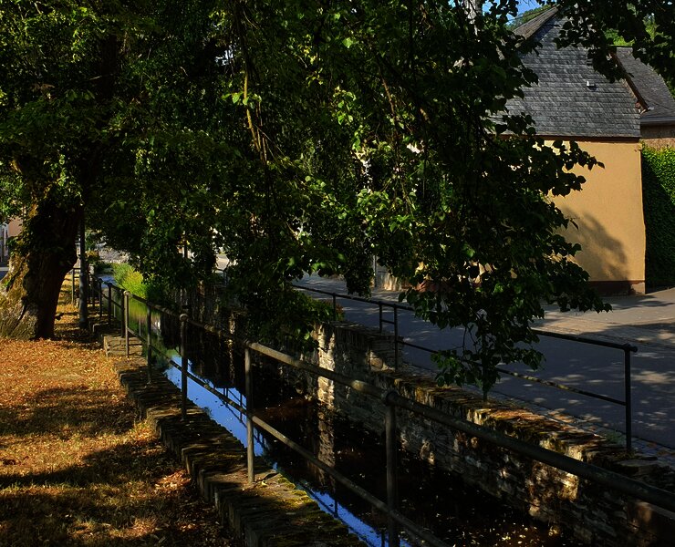 Der Fronbach in Burgen