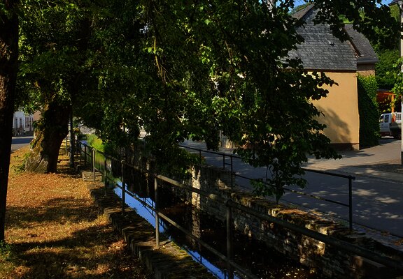 Der Fronbach in Burgen