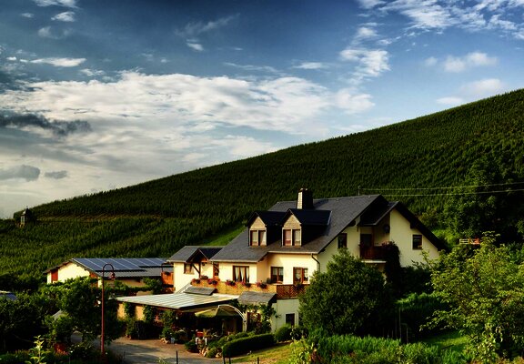 Weingut Kruft-Willems