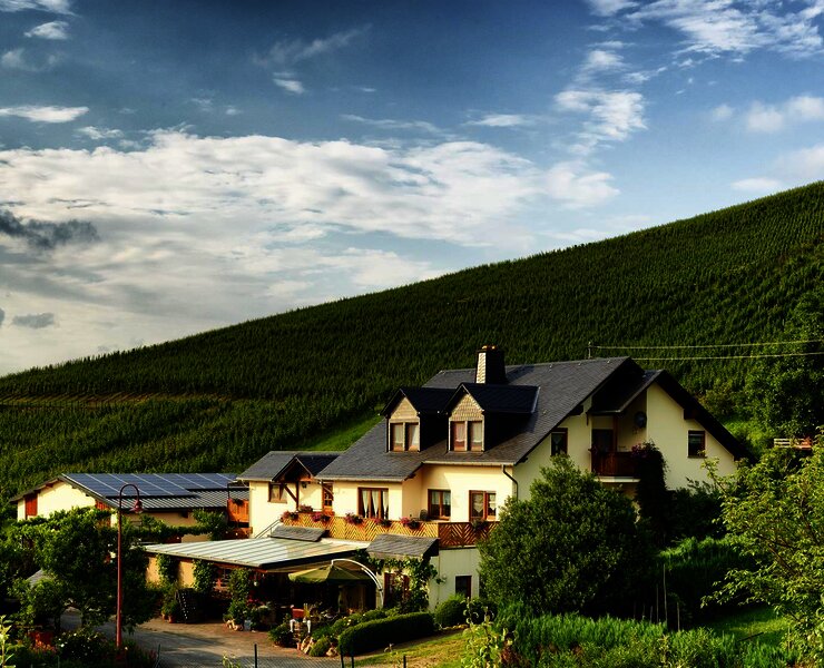 Weingut Kruft-Willems