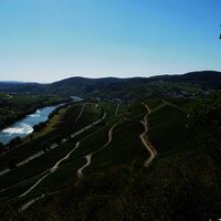 Aussicht auf Kesten und Osann-Monzel