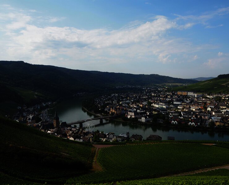 Weinberge über Bernkastel-Kues