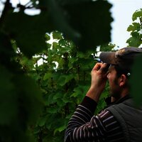 Winzer Christian Kiebel