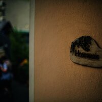 image (4)