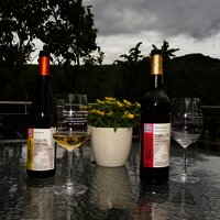 Wein genießen