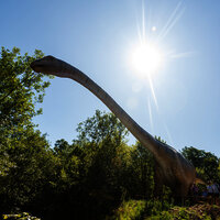 Das Bild zeigt einen Langhalsdinosaurier im Dinopark Teufelsschlucht.