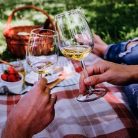 Weine bei einem Picknick genießen