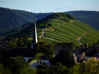 Mülheim an der Mosel