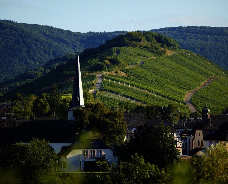 Mülheim an der Mosel