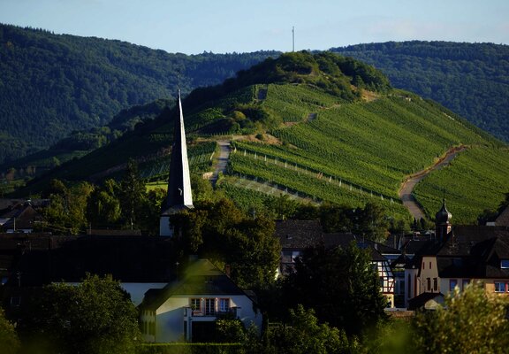 Mülheim an der Mosel