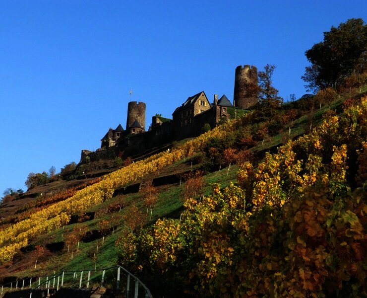 Burg Thurant oberhalb der Alkener Weinberge