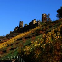 Burg Thurant oberhalb der Alkener Weinberge