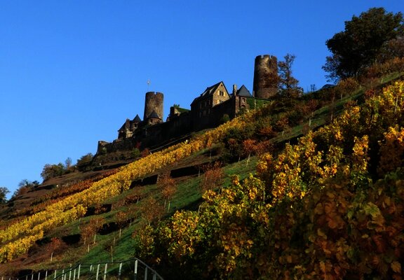 Burg Thurant oberhalb der Alkener Weinberge