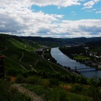 Blick auf die Weinberge
