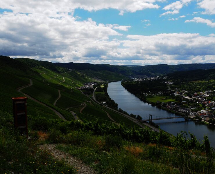 Blick auf die Weinberge