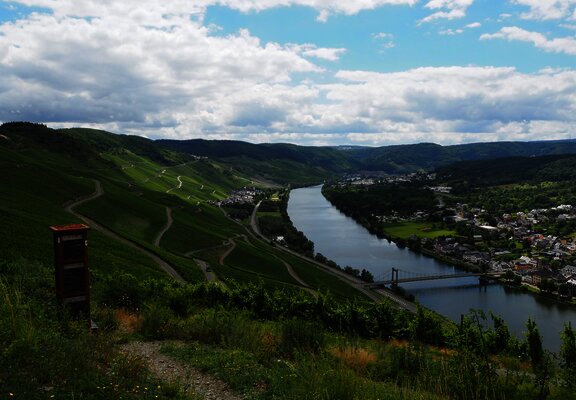 Blick auf die Weinberge