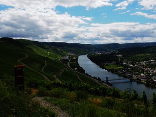 Blick auf die Weinberge