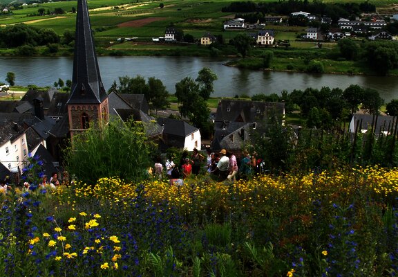 Fürhung im Gewürzgarten