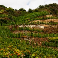 Weinberge Winningen