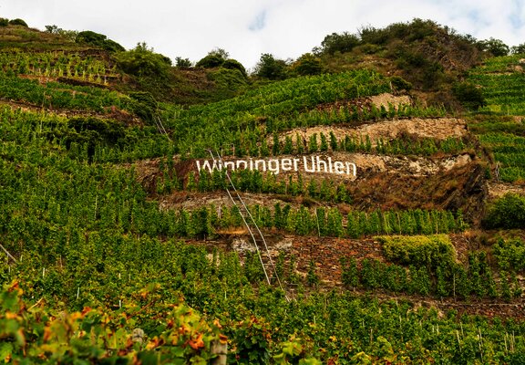 Weinberge Winningen