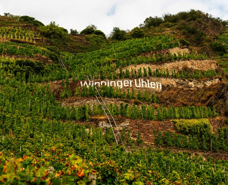 Weinberge Winningen