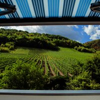 Dachterrasse Appt. Goldtropfen in Andel an der Mos