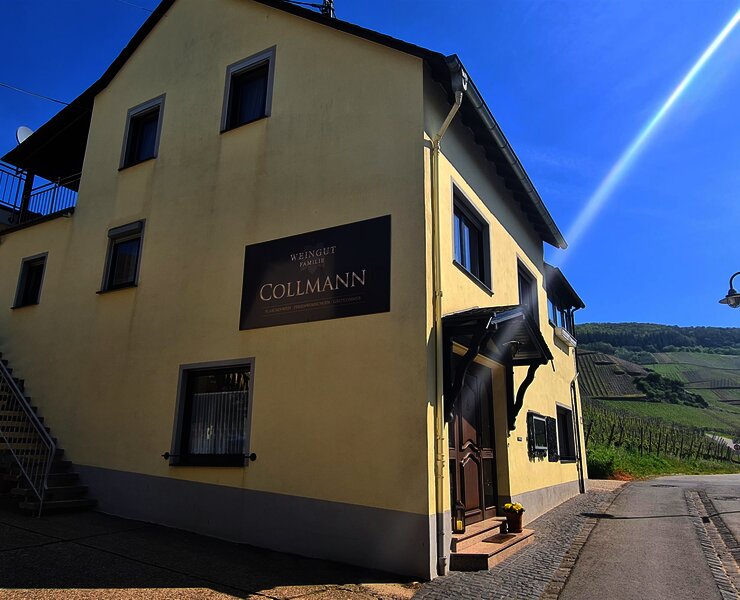 Weingut Collmann