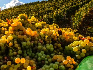 20201010_131608000_iOS