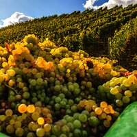 20201010_131608000_iOS