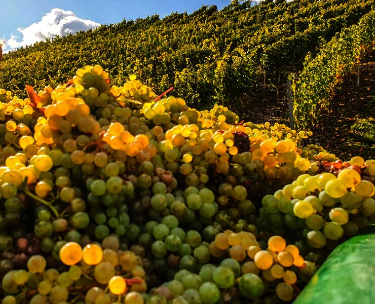 20201010_131608000_iOS