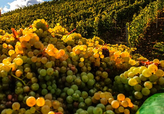 20201010_131608000_iOS