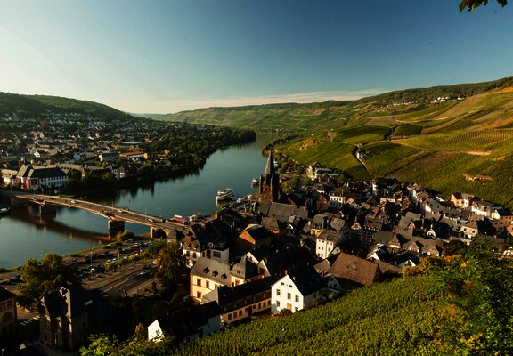 Blick auf die Altstadt