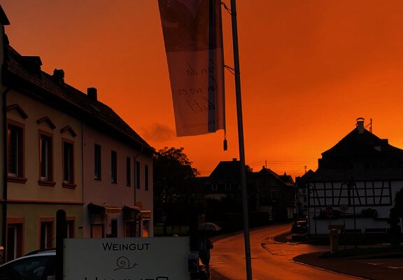 Weingut Hammes Sonnenuntergang