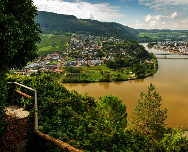 Blick vom Moselsteig auf Mehring