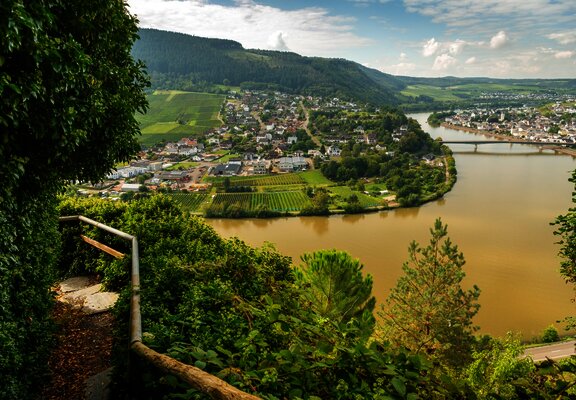 Blick vom Moselsteig auf Mehring